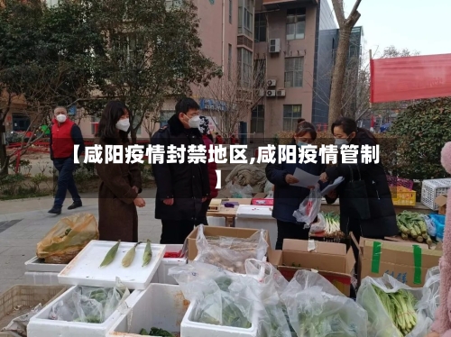 【咸阳疫情封禁地区,咸阳疫情管制】-第1张图片
