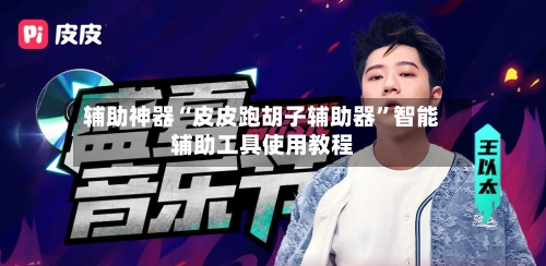 辅助神器“皮皮跑胡子辅助器”智能辅助工具使用教程-第1张图片