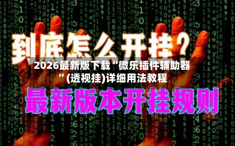 2026最新版下载“微乐插件辅助器	”(透视挂)详细用法教程-第1张图片