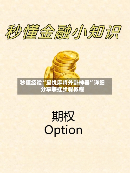 秒懂经验“星悦麻将外卦神器”详细分享装挂步骤教程-第1张图片