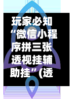 玩家必知“微信小程序拼三张透视挂辅助挂	”(透视挂)辅助下载教程-第1张图片