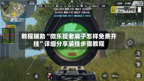 教程辅助“微乐捉老麻子怎样免费开挂”详细分享装挂步骤教程-第1张图片