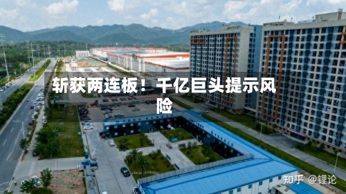 斩获两连板!千亿巨头提示风险-第1张图片