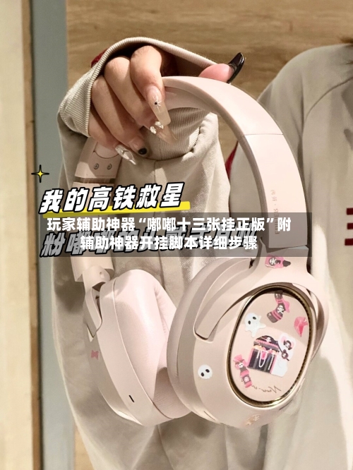 玩家辅助神器“嘟嘟十三张挂正版”附辅助神器开挂脚本详细步骤-第1张图片