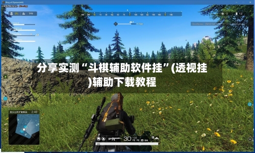 分享实测“斗棋辅助软件挂”(透视挂)辅助下载教程-第1张图片