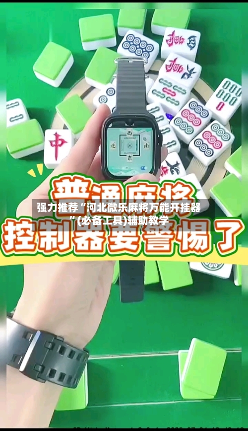 强力推荐“河北微乐麻将万能开挂器”(必备工具)辅助教学-第1张图片
