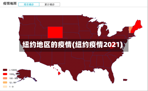 纽约地区的疫情(纽约疫情2021)-第1张图片