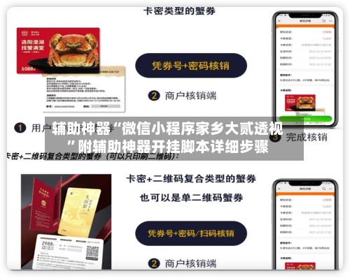 辅助神器“微信小程序家乡大贰透视”附辅助神器开挂脚本详细步骤-第1张图片