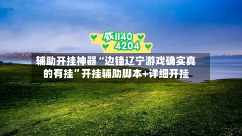 辅助开挂神器“边锋辽宁游戏确实真的有挂”开挂辅助脚本+详细开挂-第1张图片
