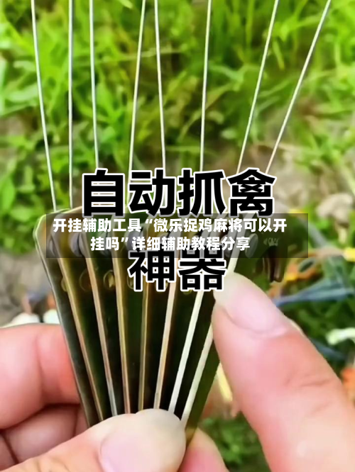开挂辅助工具“微乐捉鸡麻将可以开挂吗”详细辅助教程分享-第1张图片