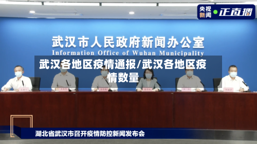 武汉各地区疫情通报/武汉各地区疫情数量-第1张图片