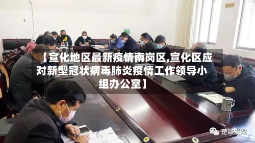 【宣化地区最新疫情南岗区,宣化区应对新型冠状病毒肺炎疫情工作领导小组办公室】-第1张图片