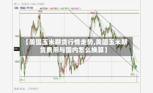 【美国玉米期货行情走势,美国玉米期货费用与国内怎么换算】-第1张图片