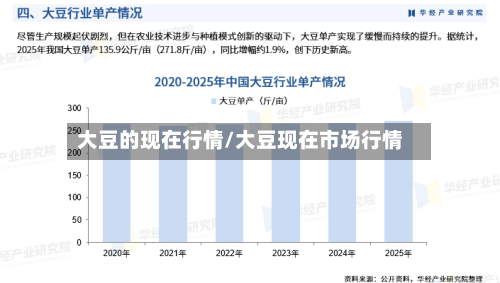 大豆的现在行情/大豆现在市场行情-第1张图片