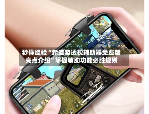 秒懂经验“新道游透视辅助器免费版亮点介绍”掌握辅助功能必胜规则-第1张图片
