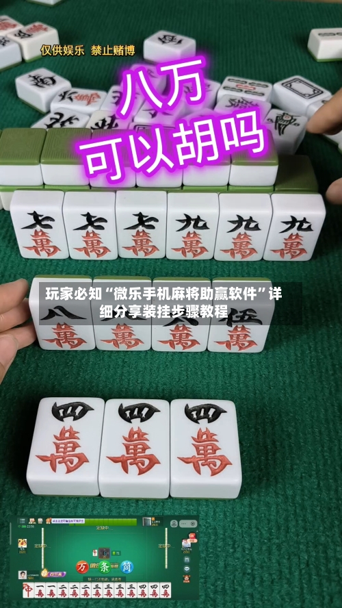 玩家必知“微乐手机麻将助赢软件”详细分享装挂步骤教程-第1张图片