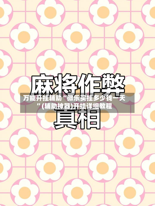万能开挂辅助“微乐买挂多少钱一天”(辅助神器)开挂详细教程-第1张图片