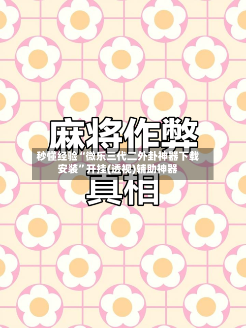 秒懂经验“微乐三代二外卦神器下载安装”开挂(透视)辅助神器-第1张图片