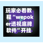 玩家必看教程“wepoker透视底牌软件”开挂辅助脚本+详细开挂-第1张图片