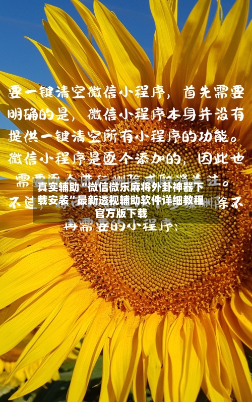 真实辅助“微信微乐麻将外卦神器下载安装	”最新透视辅助软件详细教程官方版下载-第1张图片