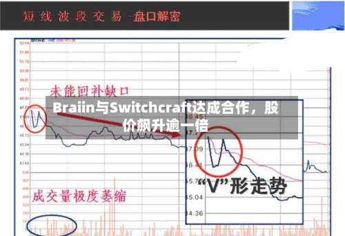 Braiin与Switchcraft达成合作，股价飙升逾一倍-第1张图片