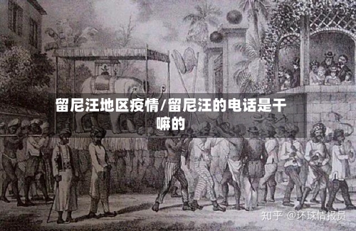 留尼汪地区疫情/留尼汪的电话是干嘛的-第1张图片