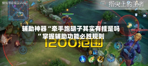 辅助神器“牵手跑胡子其实有挂是吗”掌握辅助功能必胜规则-第1张图片