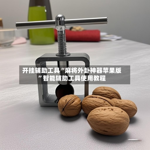 开挂辅助工具“麻将外卦神器苹果版”智能辅助工具使用教程-第1张图片