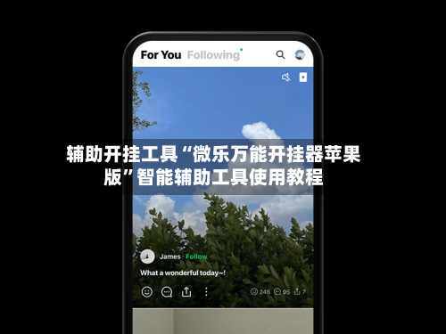 辅助开挂工具“微乐万能开挂器苹果版	”智能辅助工具使用教程-第1张图片