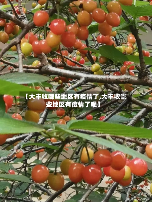 【大丰收哪些地区有疫情了,大丰收哪些地区有疫情了呢】-第1张图片