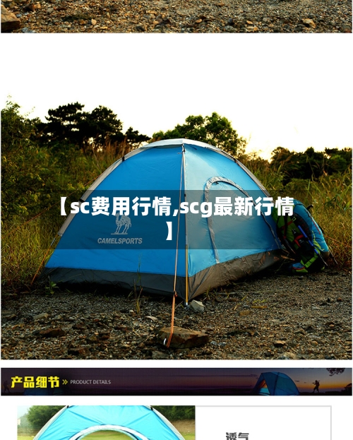 【sc费用行情,scg最新行情】-第1张图片
