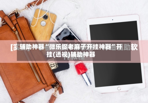 辅助神器“微乐捉老麻子开挂神器	”开挂(透视)辅助神器-第1张图片