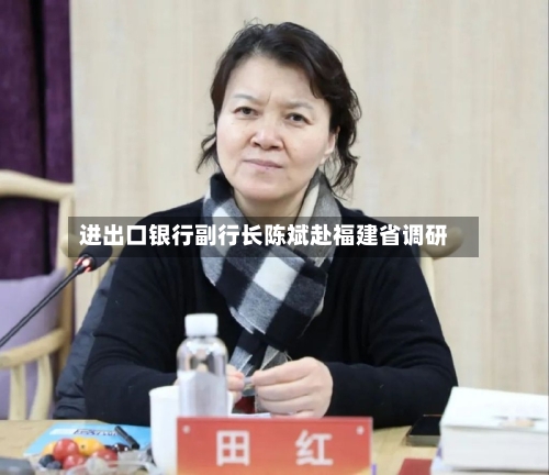 进出口银行副行长陈斌赴福建省调研-第1张图片