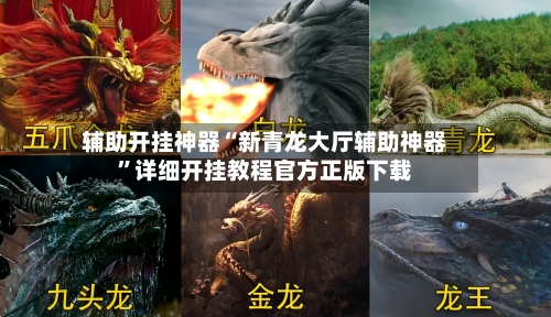 辅助开挂神器“新青龙大厅辅助神器”详细开挂教程官方正版下载-第1张图片