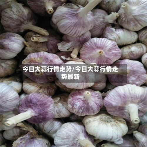 今日大蒜行情走势/今日大蒜行情走势最新-第1张图片