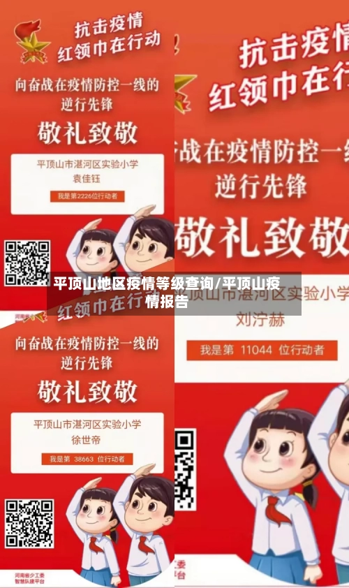 平顶山地区疫情等级查询/平顶山疫情报告-第1张图片