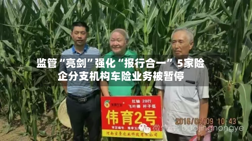 监管“亮剑	”强化“报行合一” 5家险企分支机构车险业务被暂停-第1张图片