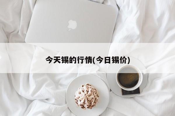 今天锡的行情(今日锡价)