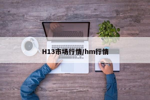 H13市场行情/hm行情