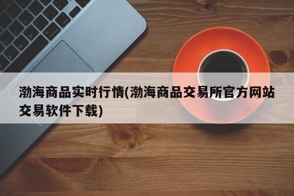 渤海商品实时行情(渤海商品交易所官方网站交易软件下载)