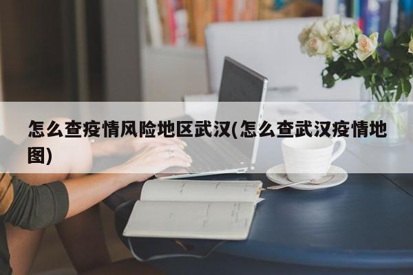 怎么查疫情风险地区武汉(怎么查武汉疫情地图)